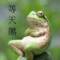 致遠(yuǎn)的頭像