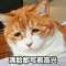 TVDCHKN的頭像