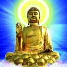 何以笙簫默的頭像