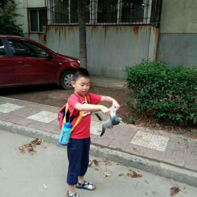 佳佳帥帥他爸的頭像