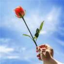 水是冰的眼淚的頭像