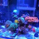 強(qiáng)子的頭像