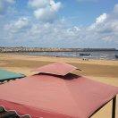 菲菲媽媽的頭像