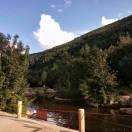 順其自然的頭像