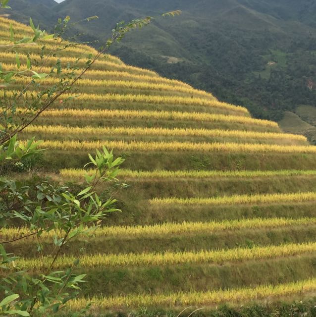 沉默的魚于的頭像
