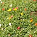 守住1份堅持的頭像