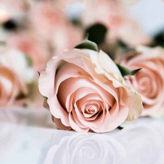 歲月靜好的頭像