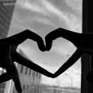 十七爺?shù)念^像