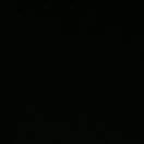 土豆艸白菜的頭像