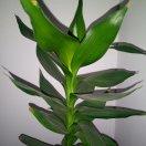 庭院深深13667970638的頭像