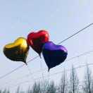 愛慕虛榮的頭像