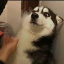 笙語亦涼的頭像