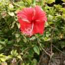 平安就是福的頭像