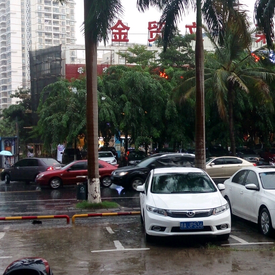 尛糊涂蟲的頭像