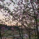 誰是誰的誰的頭像