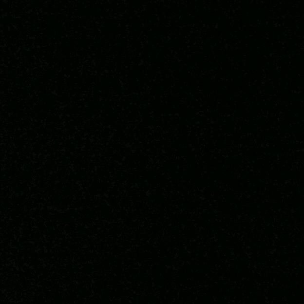 可愛的丁香花的頭像