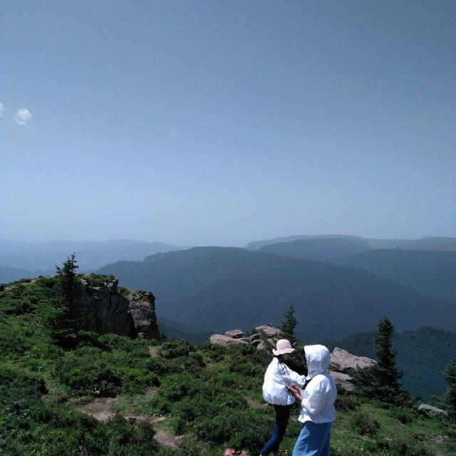 心心相印的頭像