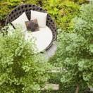 蝶夢(mèng)的頭像