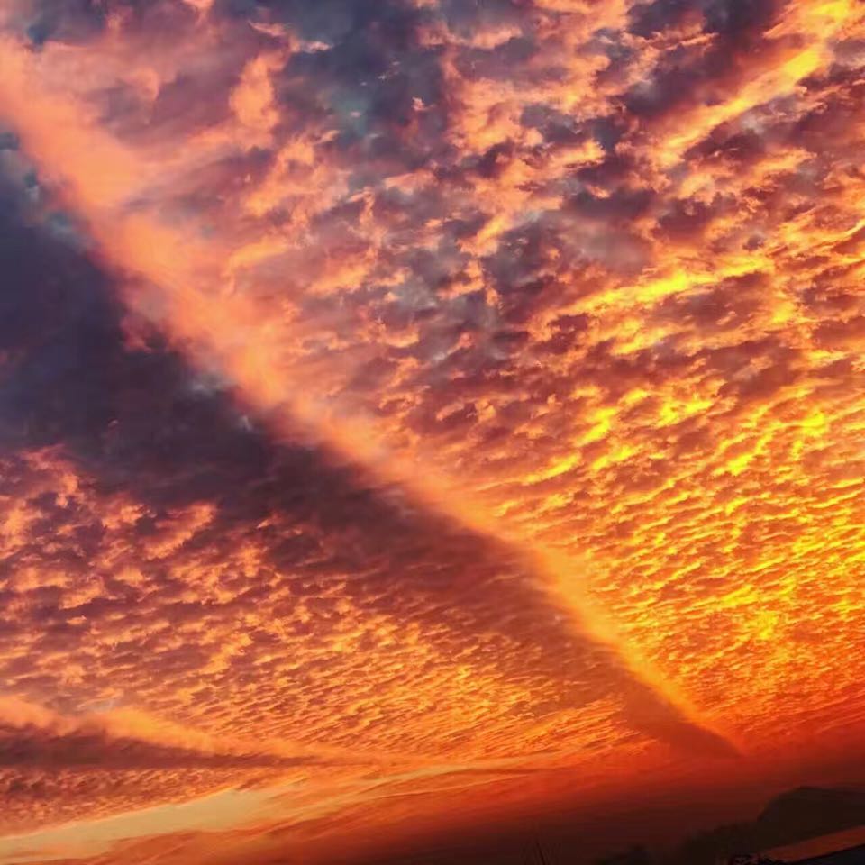 anna＆coco的頭像