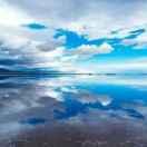 笑看人生的頭像