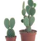 瘋瘋癲癲過一生的頭像