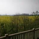 人生海海的頭像