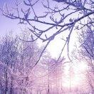 。。。的頭像