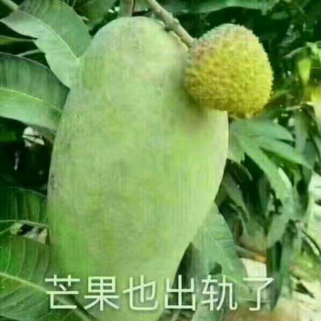 你是我的唯一°的頭像