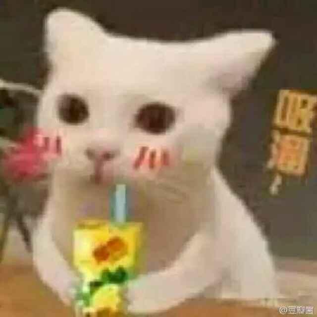 一片魚(yú)塘的頭像