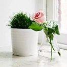 陽光女孩的頭像