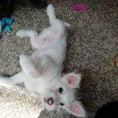 忘記煩惱的頭像