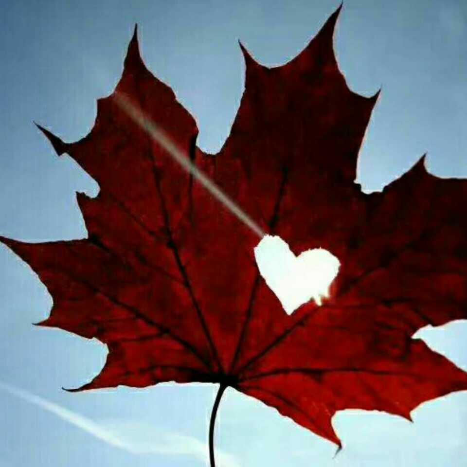 感悟人生的頭像