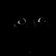 。。。。的頭像