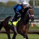 懷抱夢想的女人的頭像