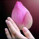 記憶之城的頭像