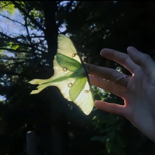 微信21251280的頭像