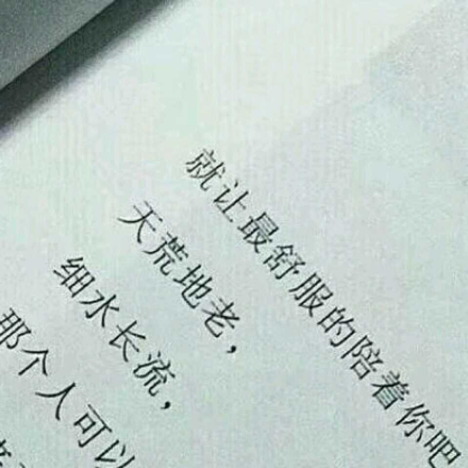 楠木青城的頭像