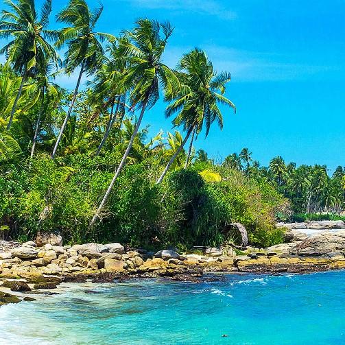 瞅著點。。別踩腳的頭像