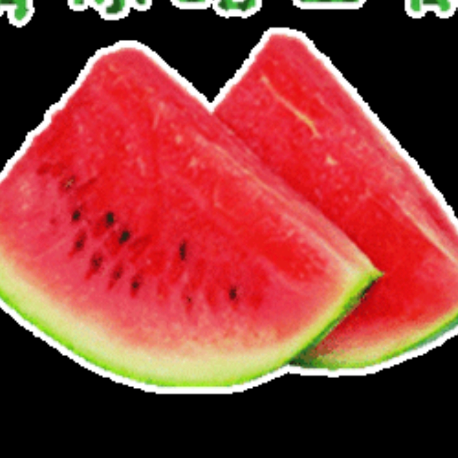 k9男老師的頭像