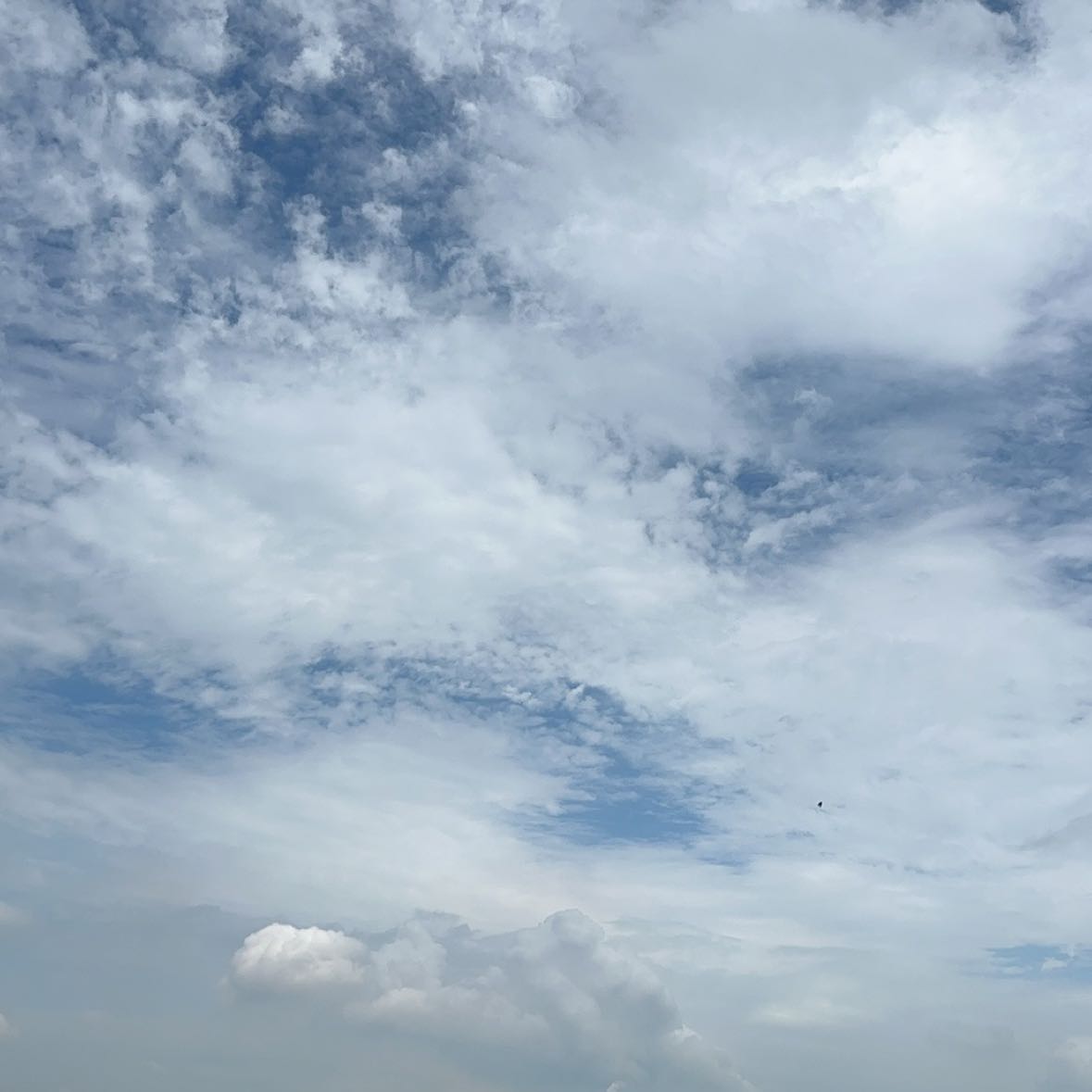 心中有雨的頭像