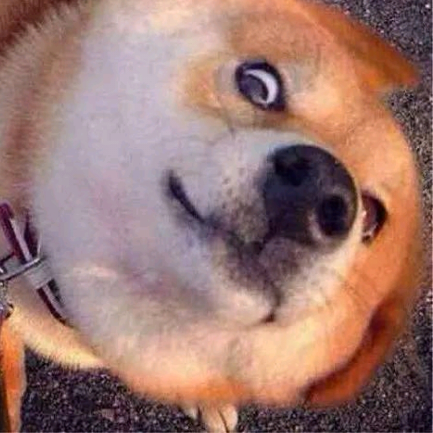 夏枯九重草的頭像