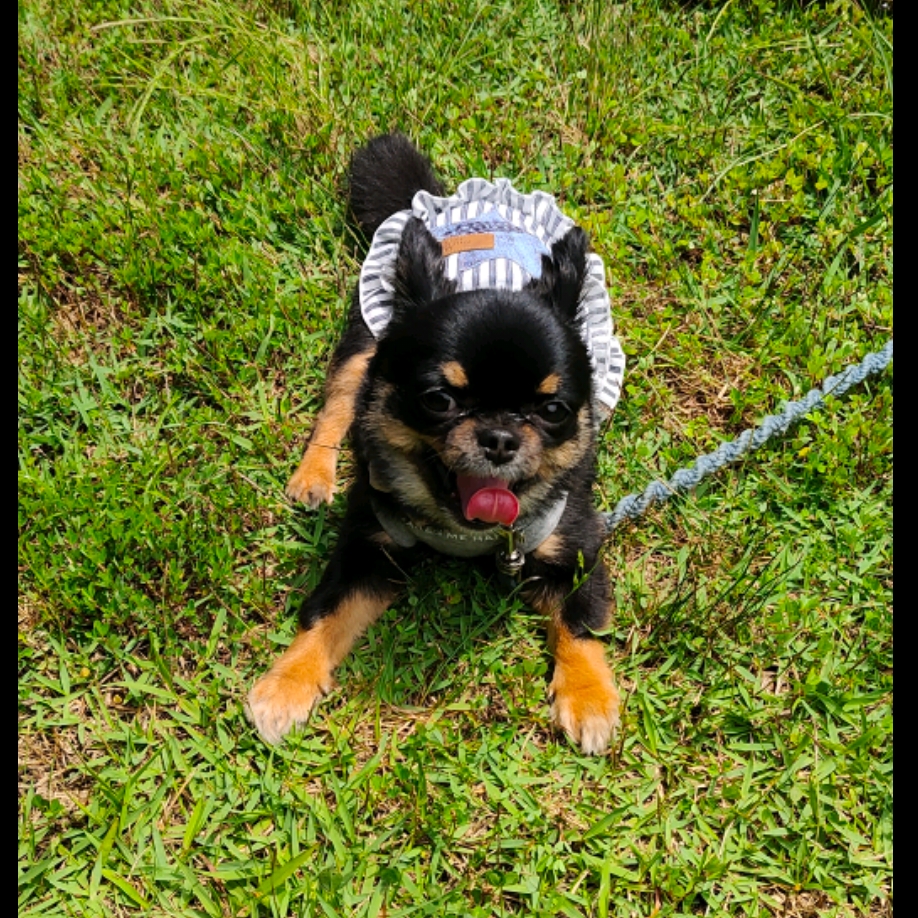 上善若水的頭像