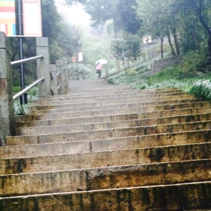 開心快樂的頭像