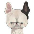 乞石烈晨er的頭像