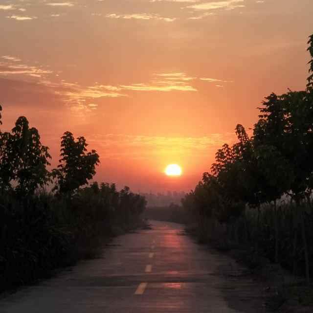 從心開始的頭像