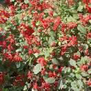 江湖路遠的頭像