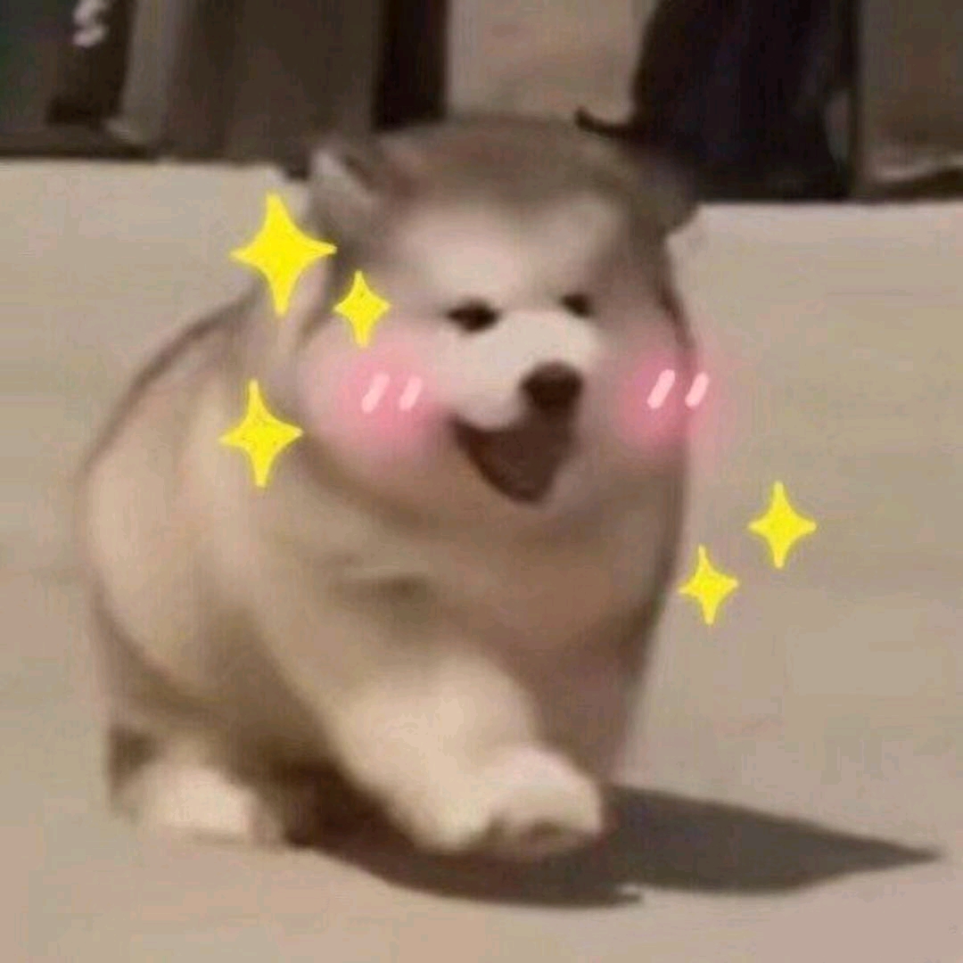 口區(qū)的頭像