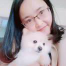 后巷的貓街少女的頭像