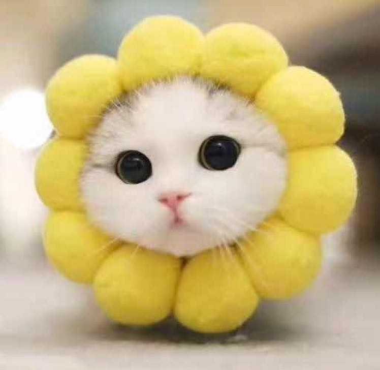 從零開始的頭像