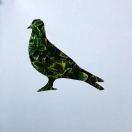 D調的淡淡的頭像